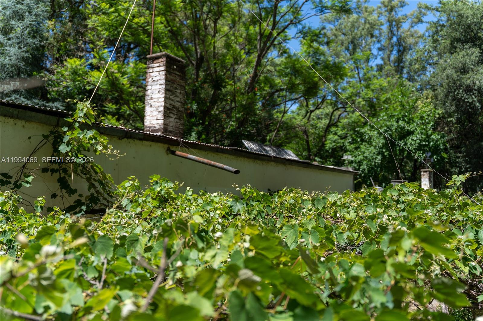 1 Segundo Paredon undefined, undefined 5186 - Photo 45 of 57 a view of a house with a yard