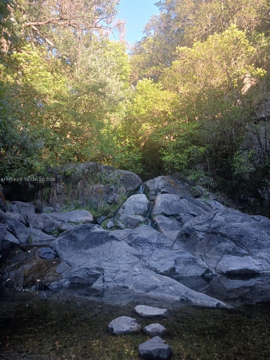 1 Segundo Paredon undefined, undefined 5186 - Photo 48 of 57 a view of a large yard with lots of green space