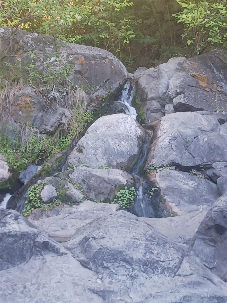 1 Segundo Paredon undefined, undefined 5186 - Photo 49 of 57 a view of a dry yard with lots of green space