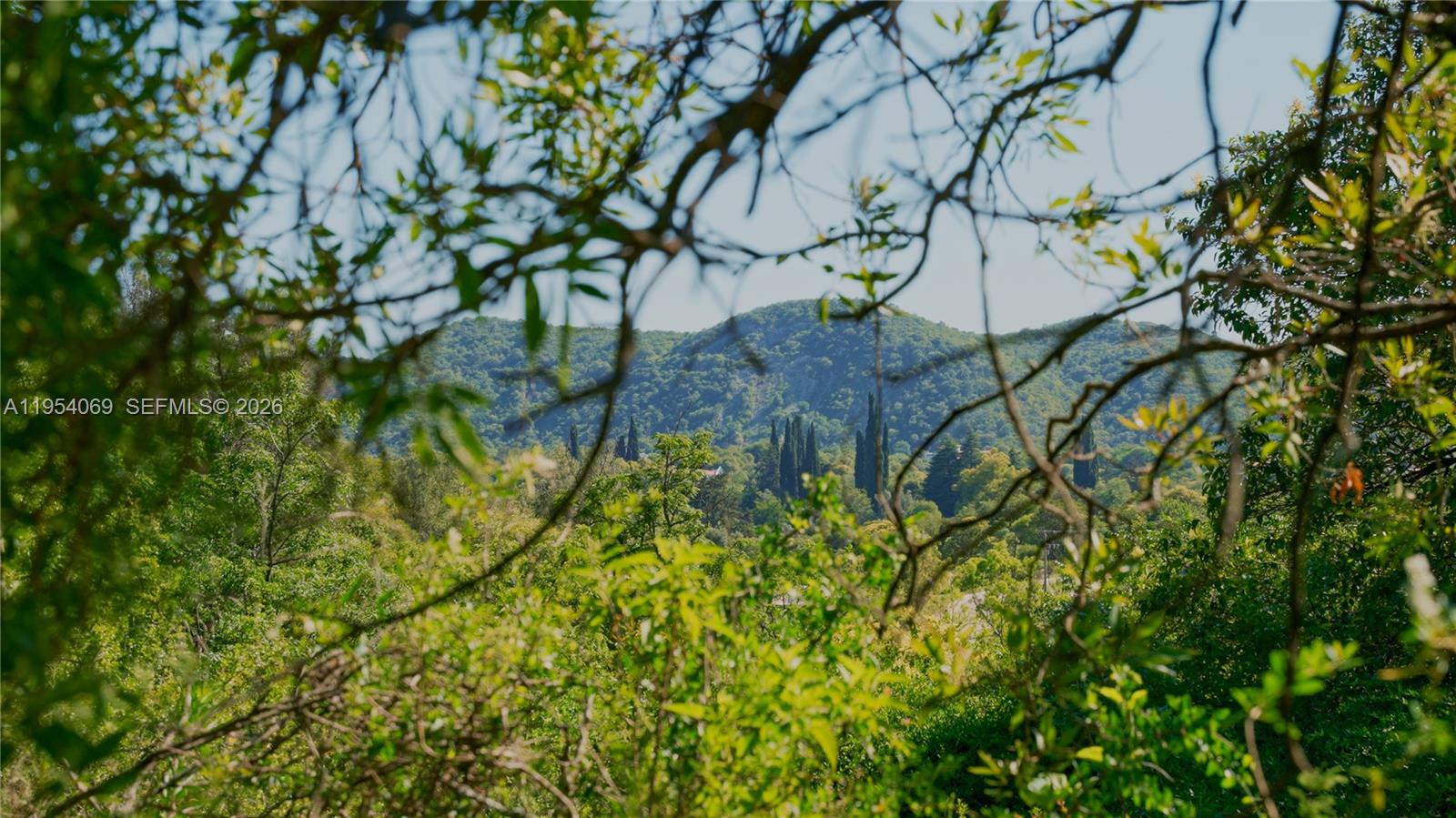 1 Segundo Paredon undefined, undefined 5186 - Photo 5 of 57 a backyard of a house with lots of green space
