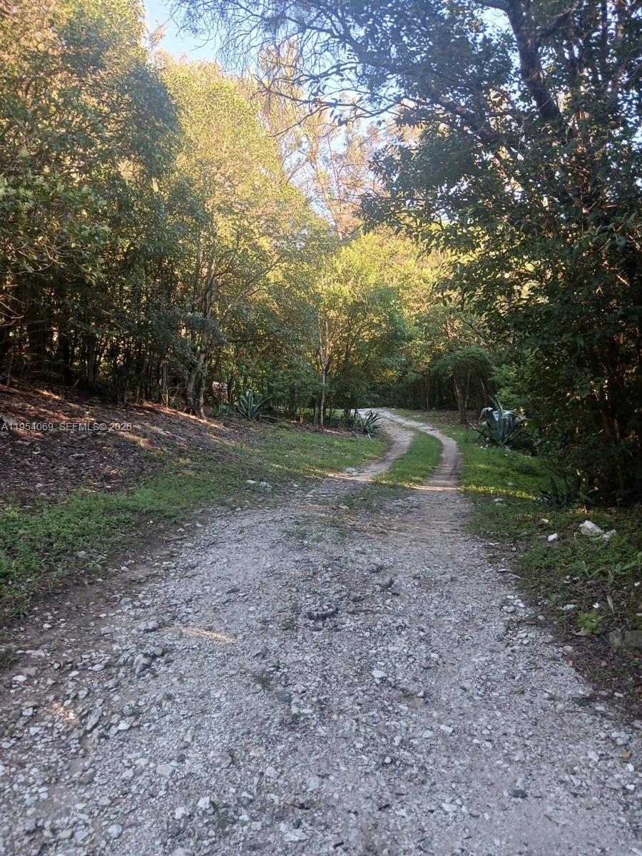 1 Segundo Paredon undefined, undefined 5186 - Photo 53 of 57 a view of outdoor space with trees