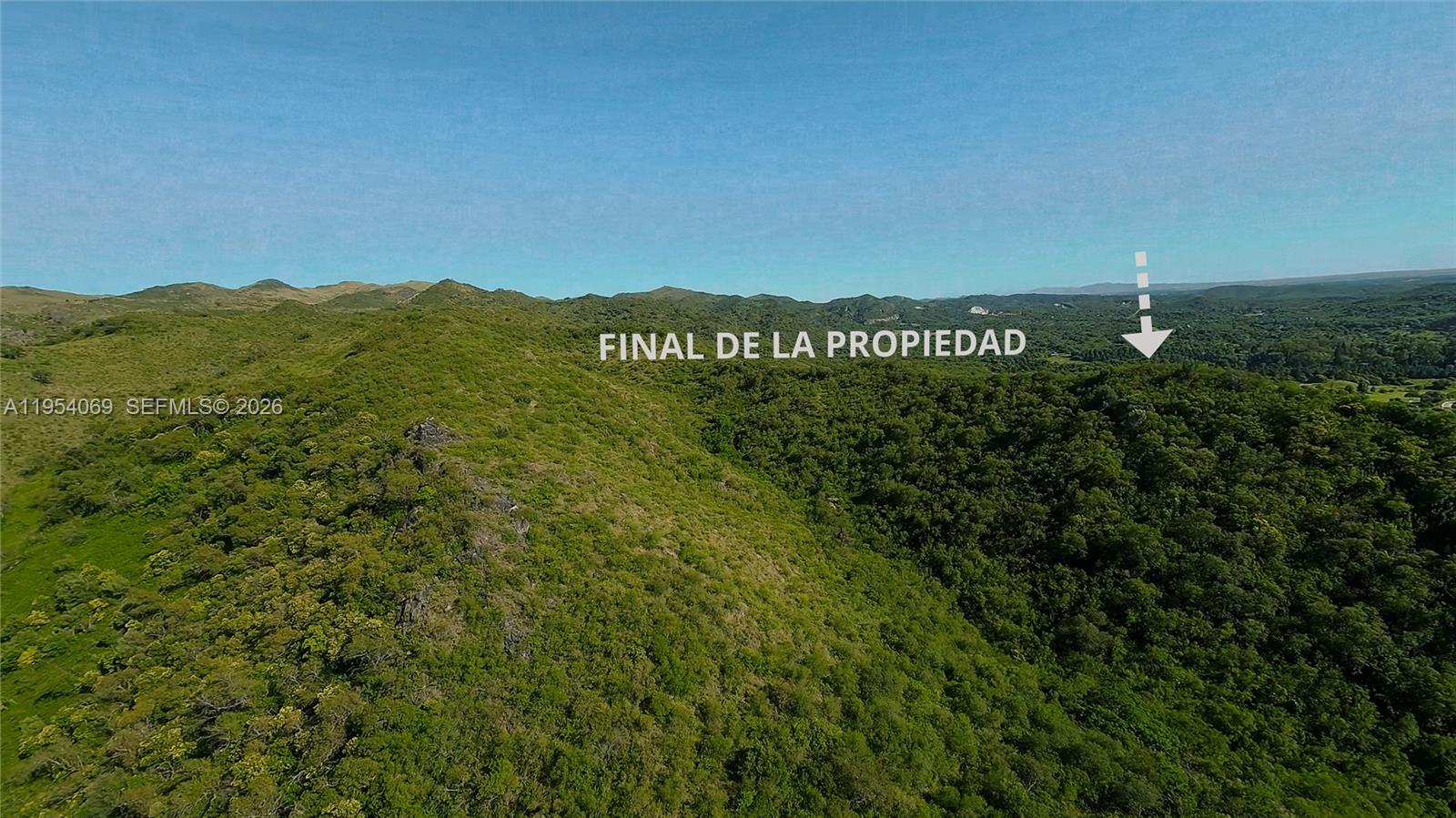 1 Segundo Paredon undefined, undefined 5186 - Photo 7 of 57 a view of a city with lush green forest