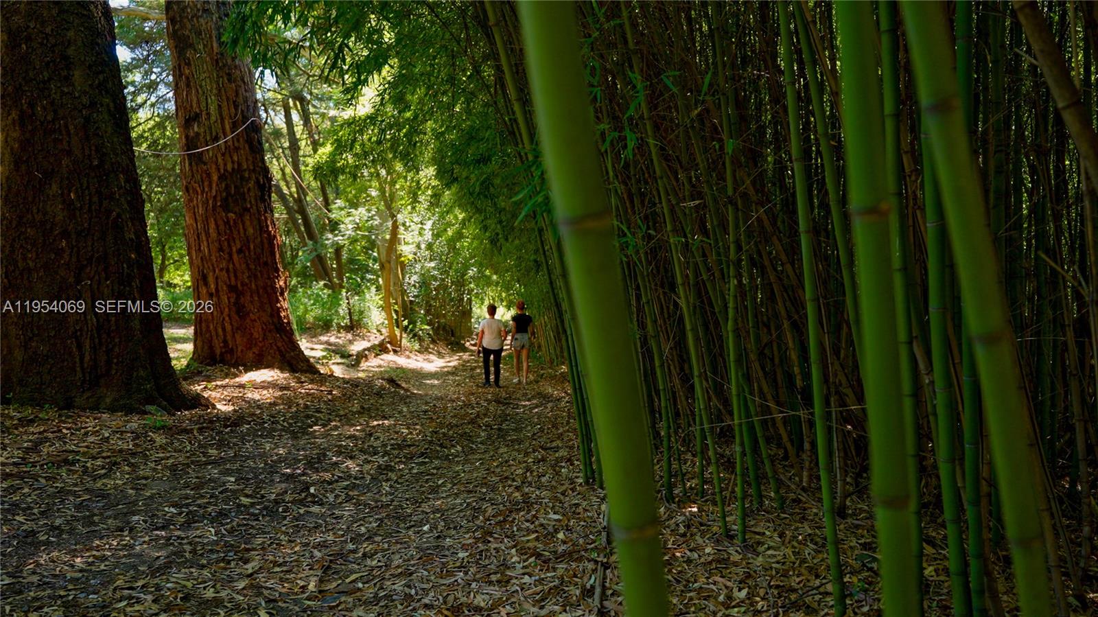 1 Segundo Paredon undefined, undefined 5186 - Photo 8 of 57