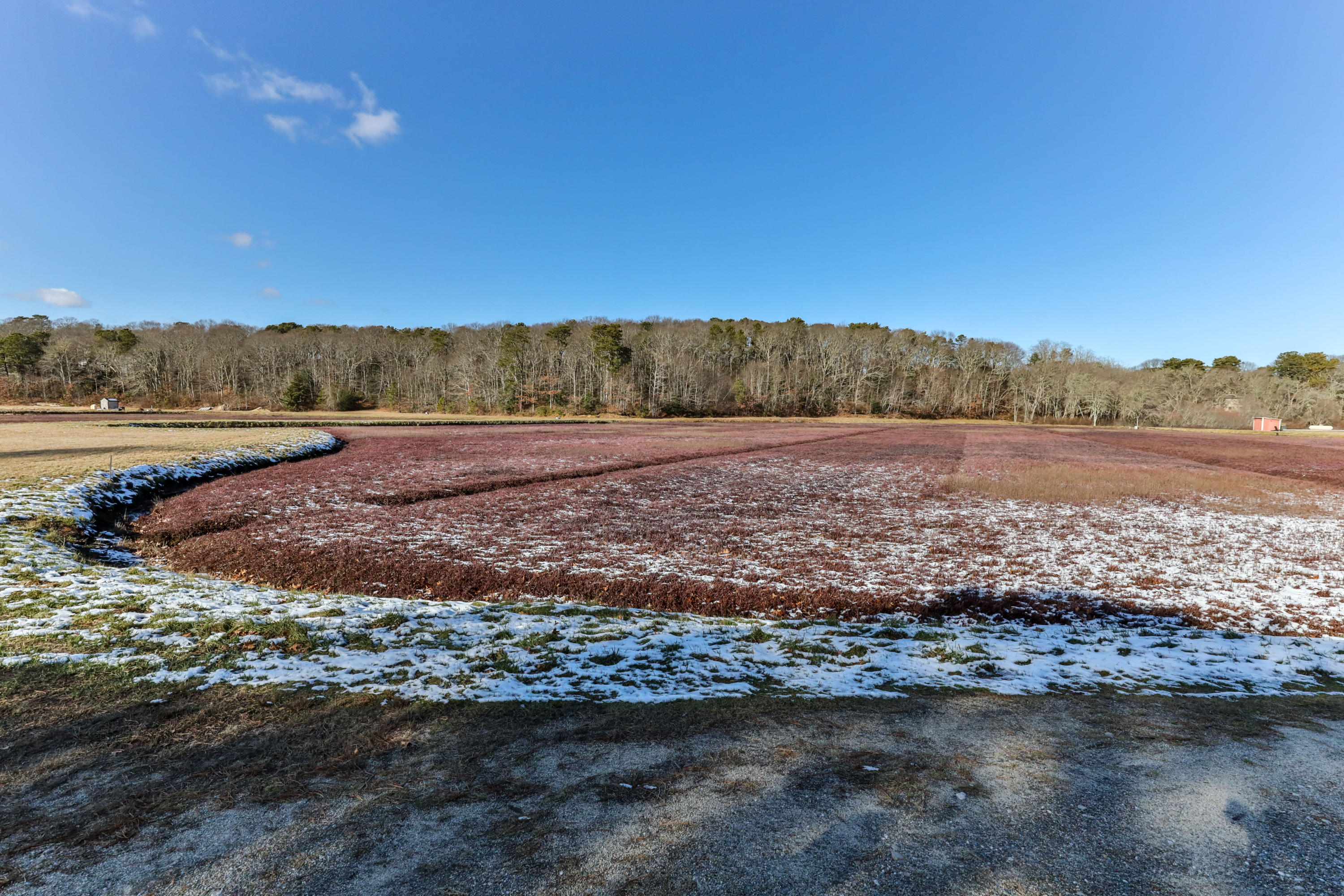 141 Bog Road Marstons Mills, MA 02648 - Photo 2 of 59 a view of a road with an ocean view