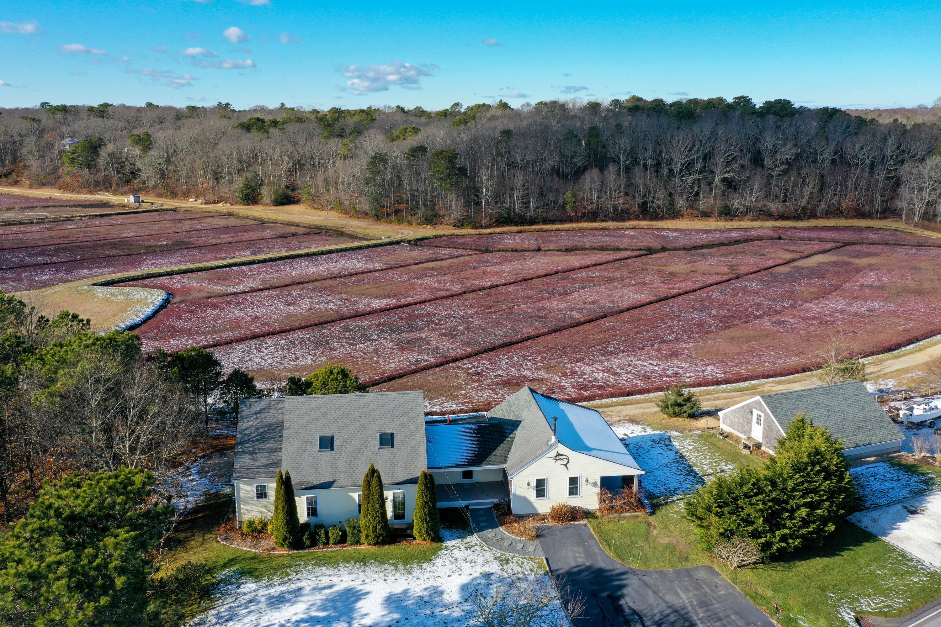 141 Bog Road Marstons Mills, MA 02648 - Photo 53 of 59 an aerial view of a house with pool and green space