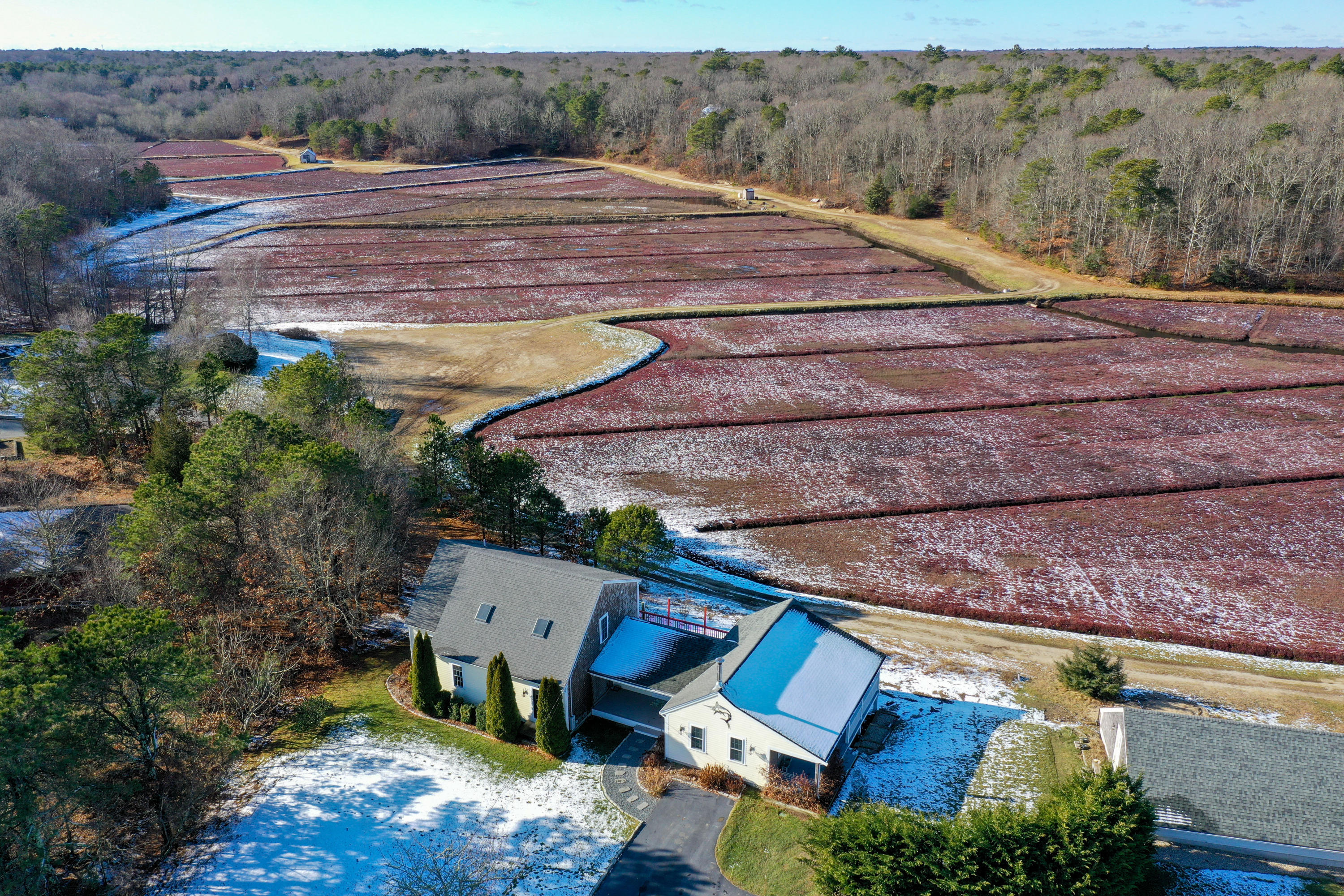 141 Bog Road Marstons Mills, MA 02648 - Photo 57 of 59 141BogLR-47