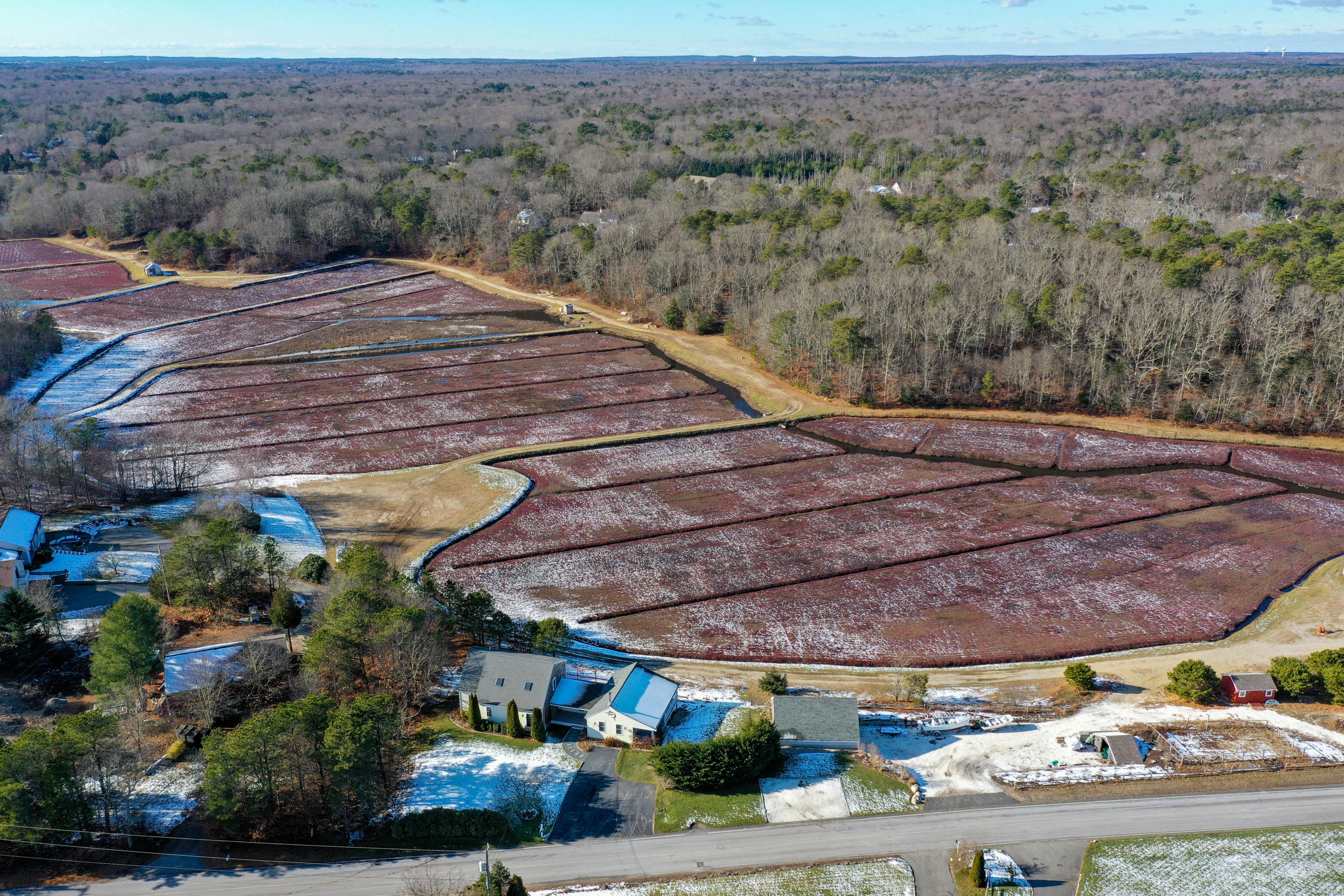 141 Bog Road Marstons Mills, MA 02648 - Photo 58 of 59 a view of a backyard with plants and lake view