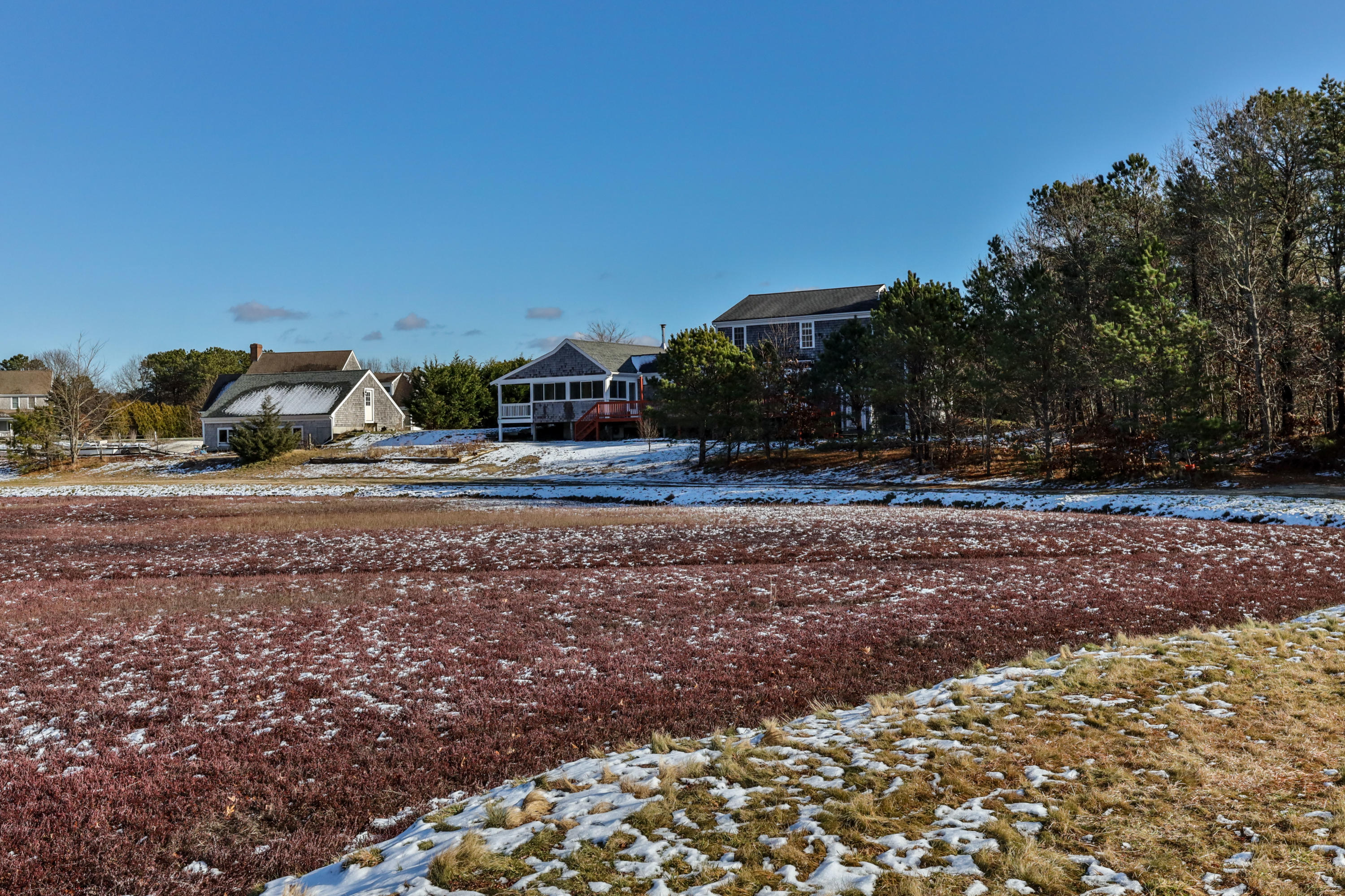 141 Bog Road Marstons Mills, MA 02648 - Photo 6 of 59 a view of dirt yard with a tree
