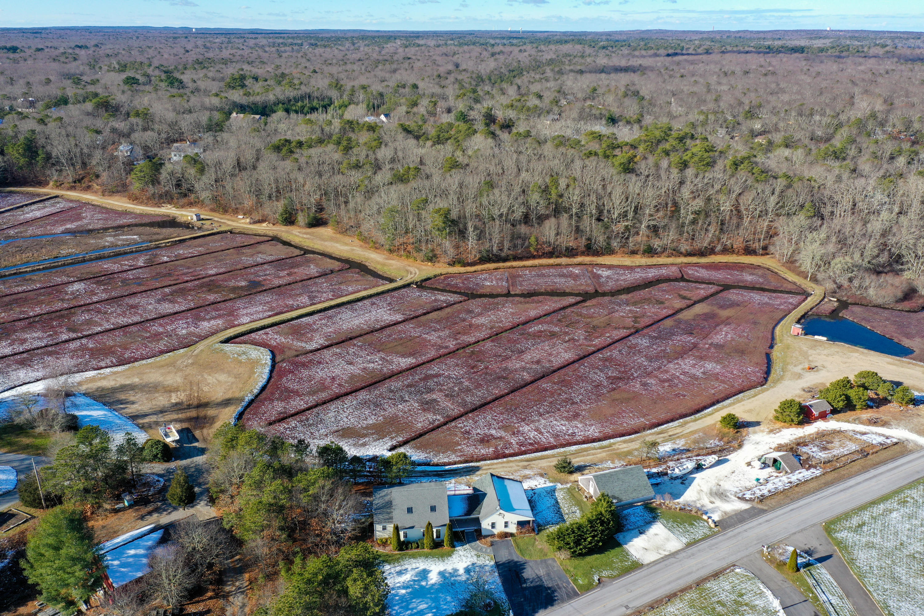 141 Bog Road Marstons Mills, MA 02648 - Photo 7 of 59 a view of a backyard with plants