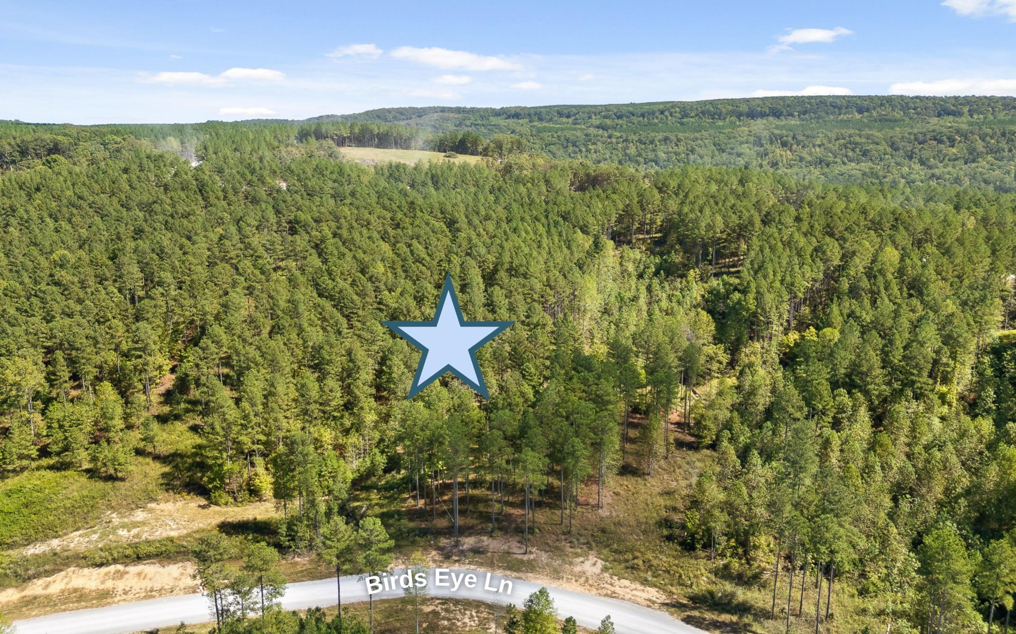 1098 Birds Eye Way Guild, TN 37340 - Photo 11 of 20