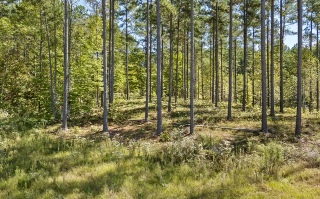 $250,000 | 1098 Birds Eye Way, Guild, TN 37340