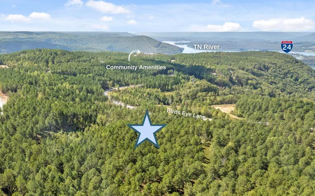 $250,000 | 1098 Birds Eye Way, Guild, TN 37340