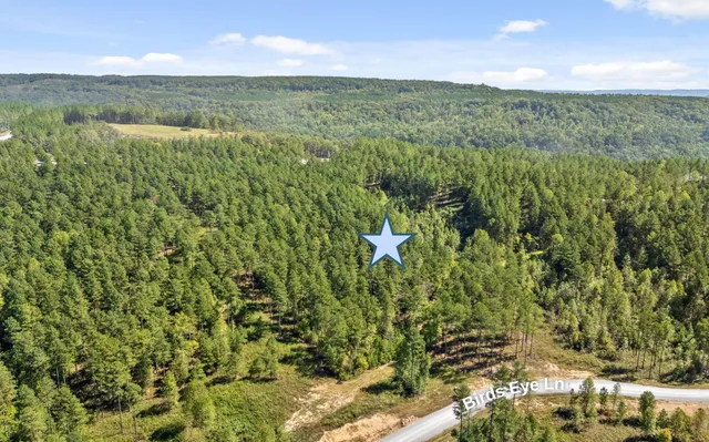 $250,000 | 1098 Birds Eye Way, Guild, TN 37340