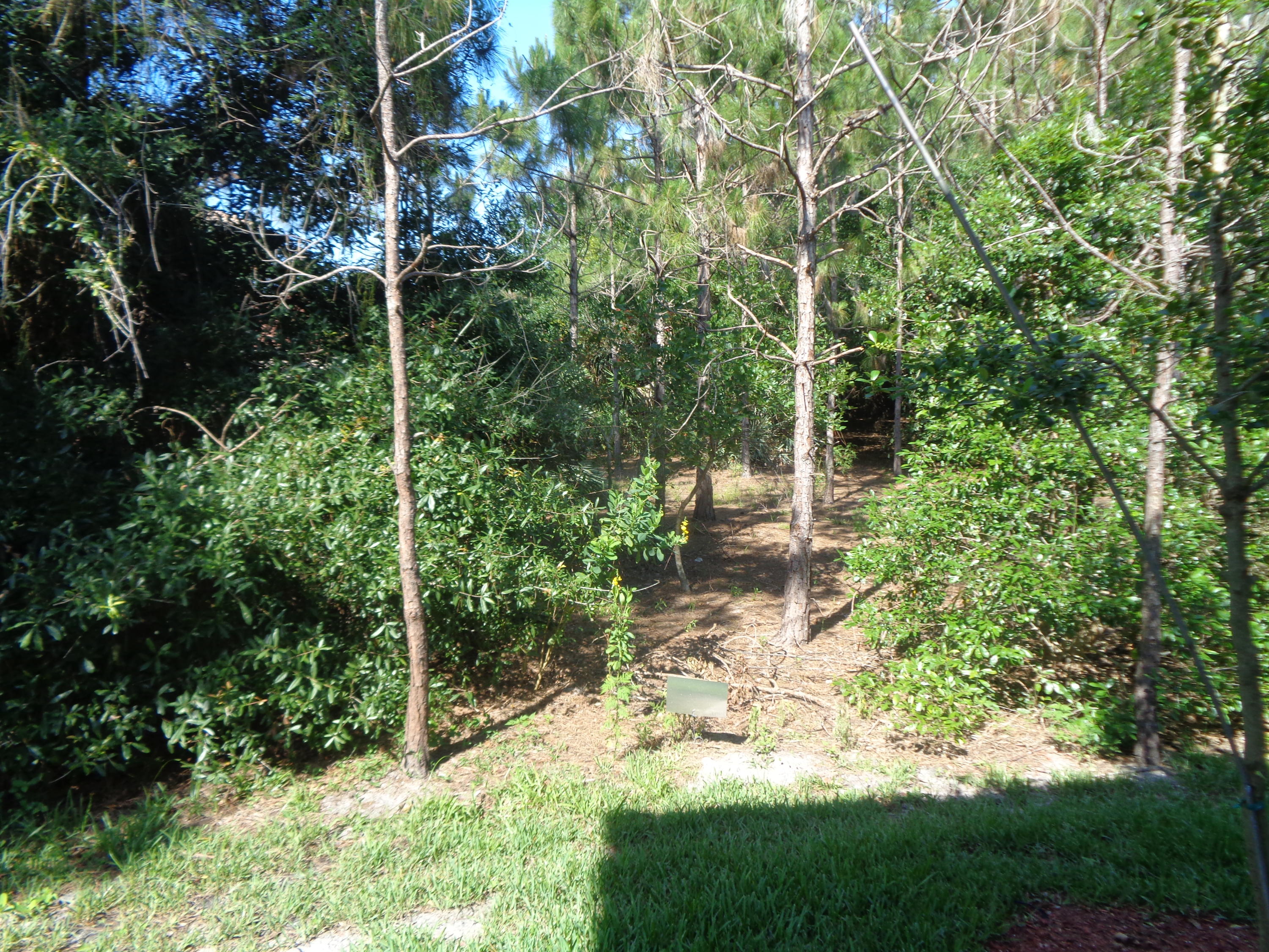3095 Southwest Otter Lane Stuart, FL 34997 - Photo 31 of 43 Preserve View