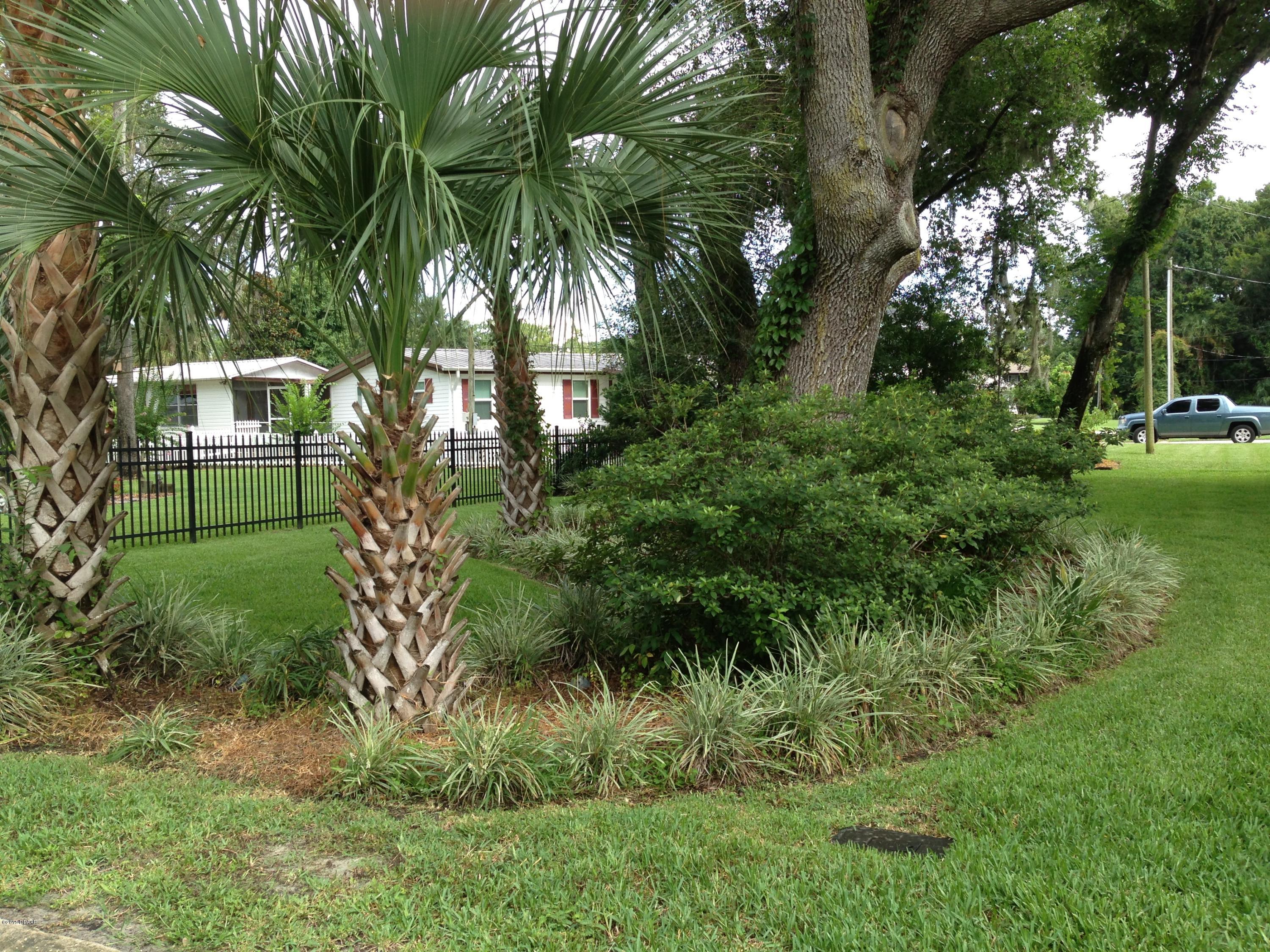 56329 Hickory Road Astor, FL 32102 - Photo 25 of 26 IMG_0705