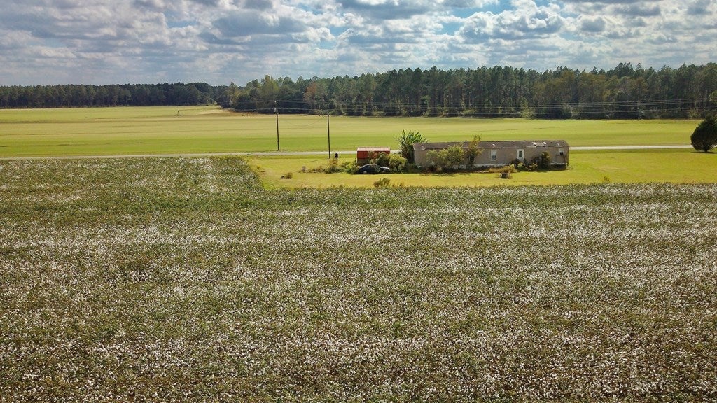 2864 McConnell Bridge Road Adel, GA 31620 - Photo 10 of 16 Gallery Image 10