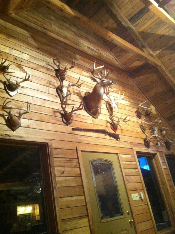 100 Jefferson Road Lexington, MS 39095 - Photo 3 of 50 Photo 3
