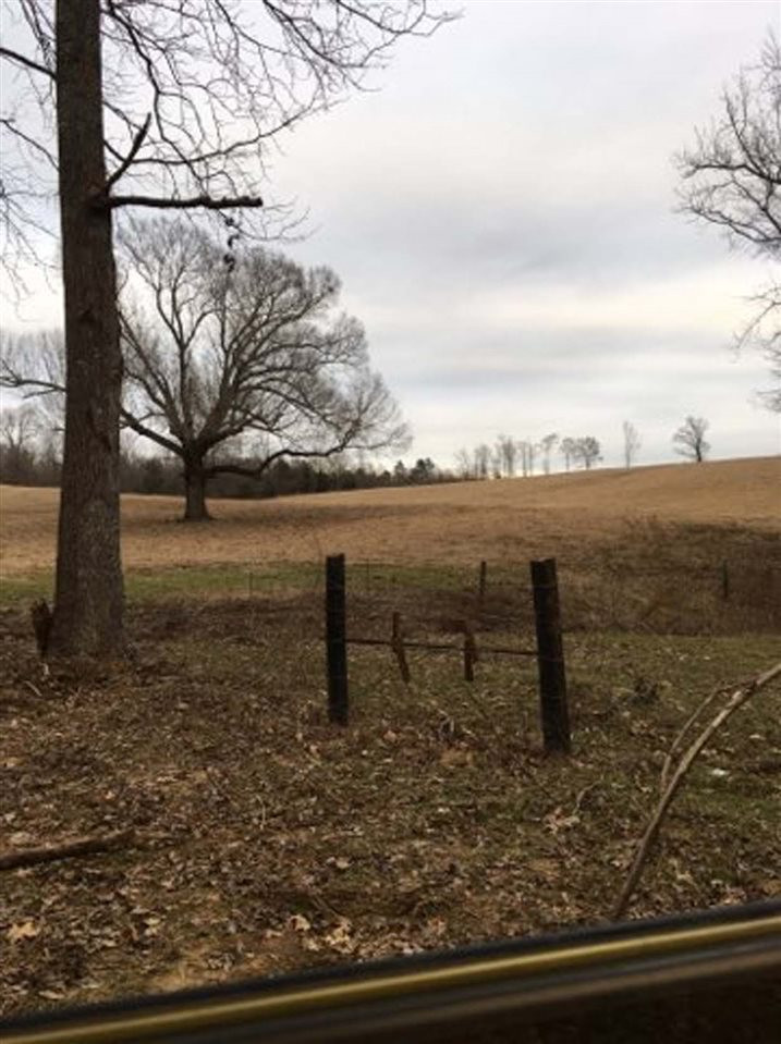 100 Jefferson Road Lexington, MS 39095 - Photo 6 of 50 Photo 6
