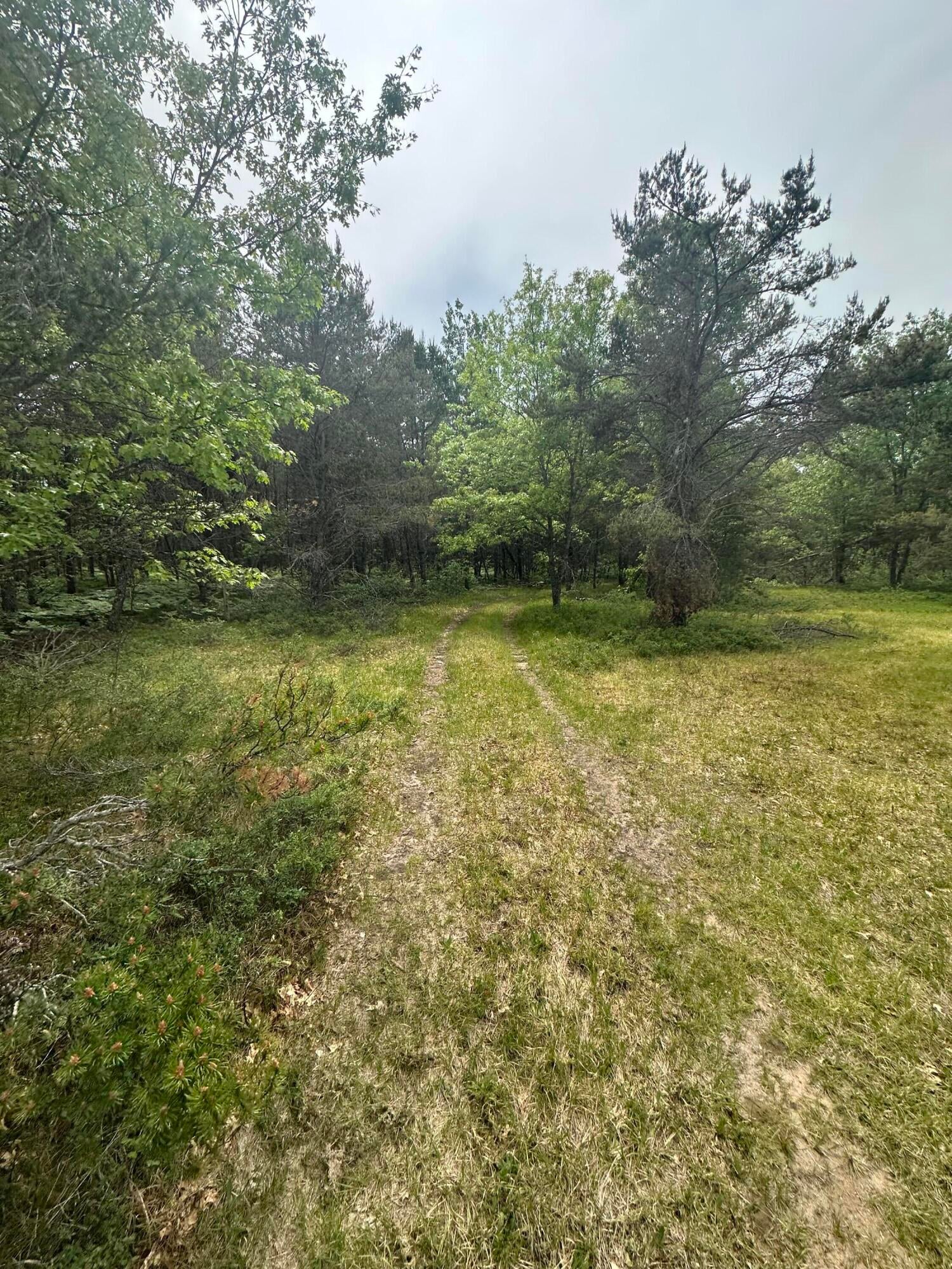 323 Goline Road Grayling, MI 49738 - Photo 20 of 24 Gallery Image 20