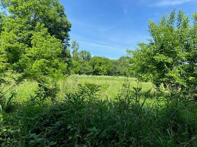 113 Lee's Creek Road Dover, KY 41034 - Photo 10 of 30 3