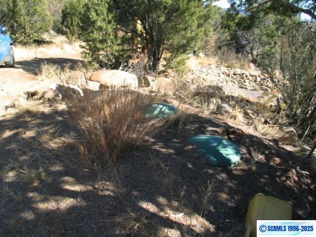 9 Radio Tower Road Silver City, NM 88053 - Photo 18 of 30 Gallery Image 18