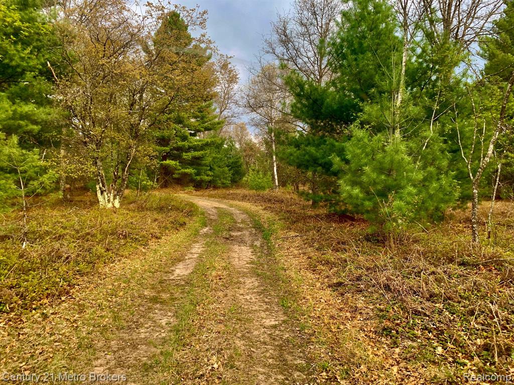 0 East Sugar River Road Alger, MI 48610 - Photo 19 of 50