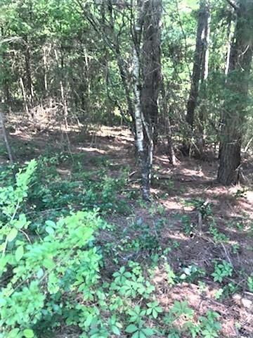 1522 Cottonport Ridge Road, Unit 7 Decatur, TN 37322 - Photo 1 of 8 Cottonport Ridge Lane plateau