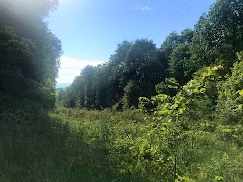 1522 Cottonport Ridge Road, Unit 7 Decatur, TN 37322 - Photo 8 of 8 Powerline 2