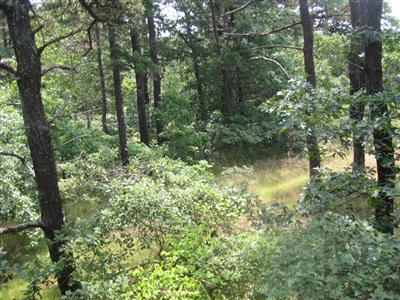 263 Coles Neck Road Wellfleet, MA 02667 - Photo 6 of 8 Additional Photo