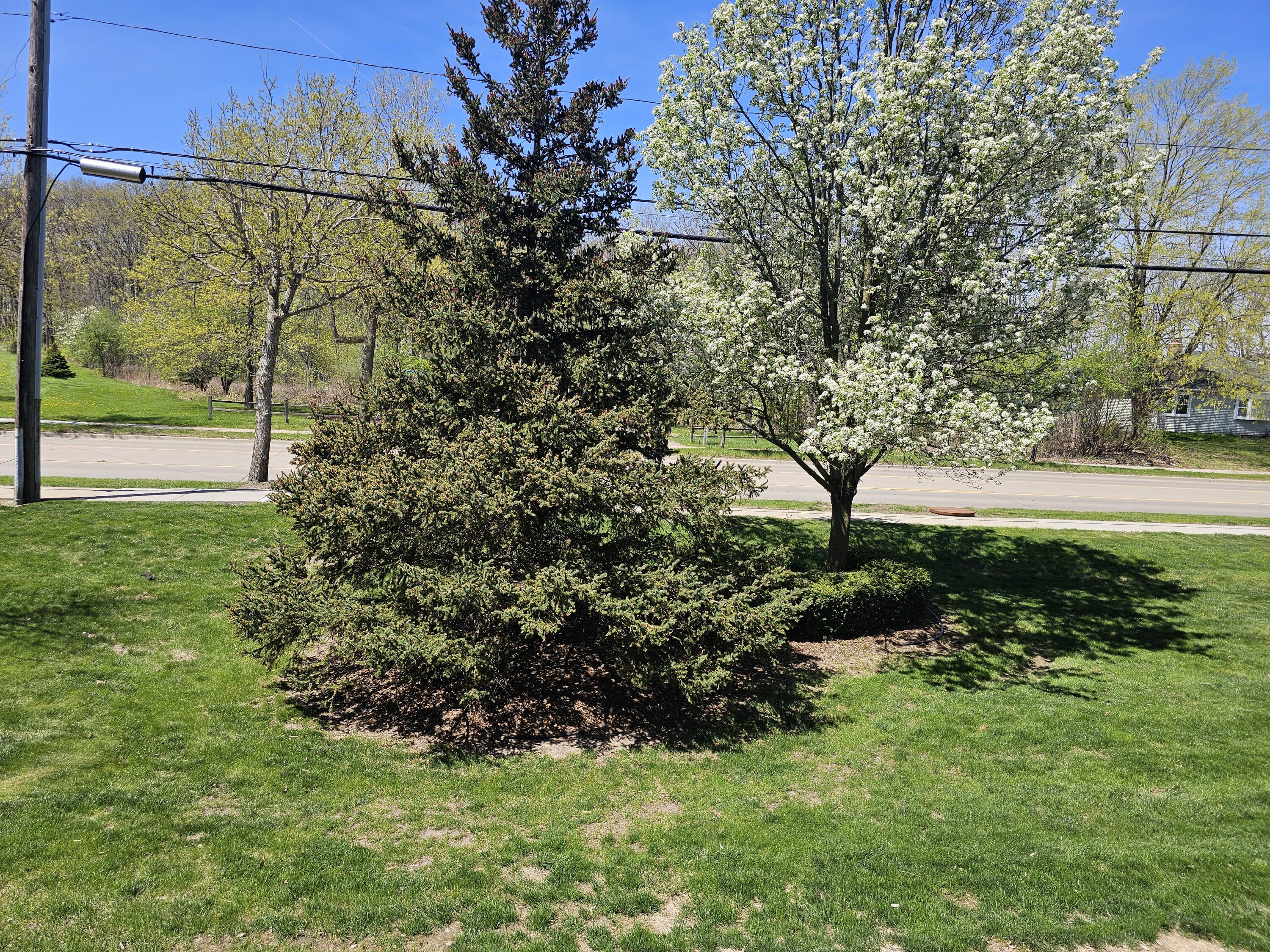 1215 South Maple Road, Unit 203 Ann Arbor, MI 48103 - Photo 17 of 23 20250430_123133