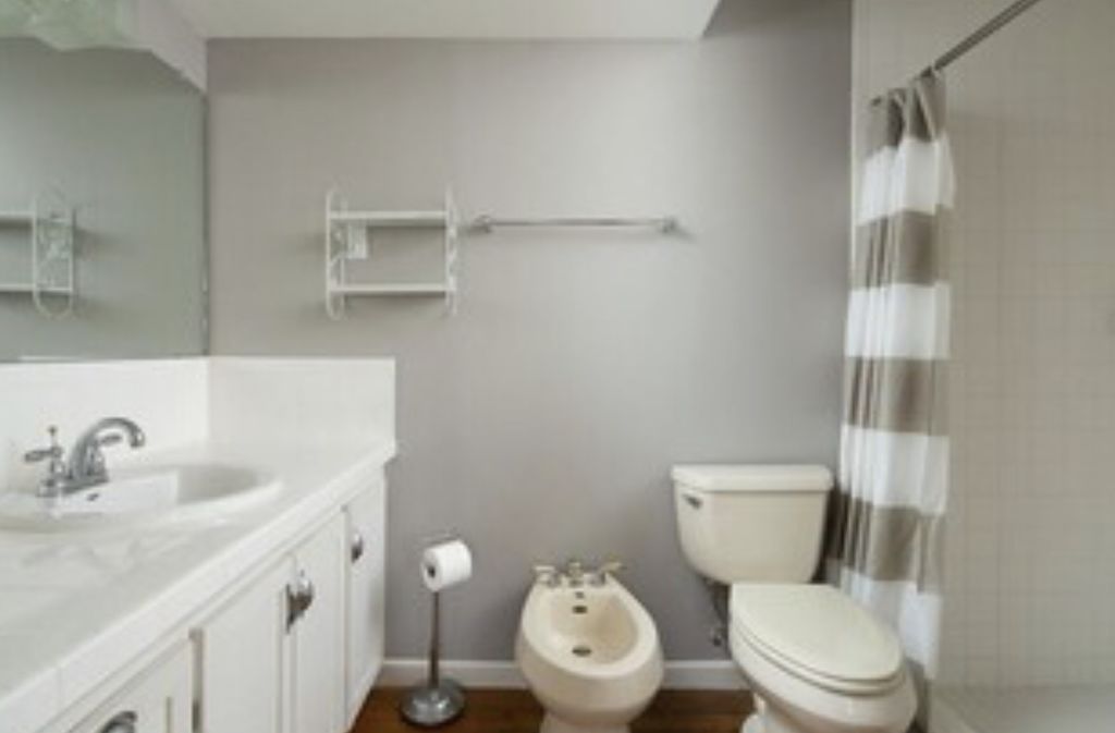 423 South Main Street Lockhart, TX 78644 - Photo 20 of 21 a white toilet sitting next to a bathroom sink