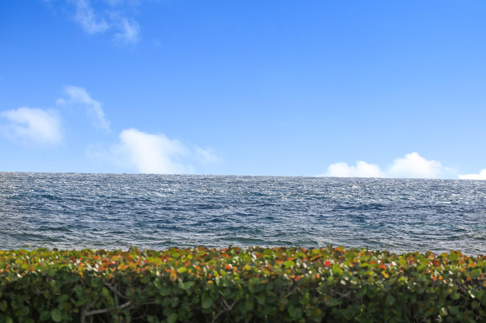 5720 Old Ocean Boulevard, Unit 3W Ocean Ridge, FL 33435 - Photo 19 of 27 16_image-14_mls
