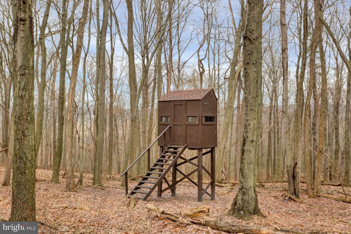 266 McCabe Road Landisburg, PA 17040 - Photo 4 of 39 Gallery Image 4