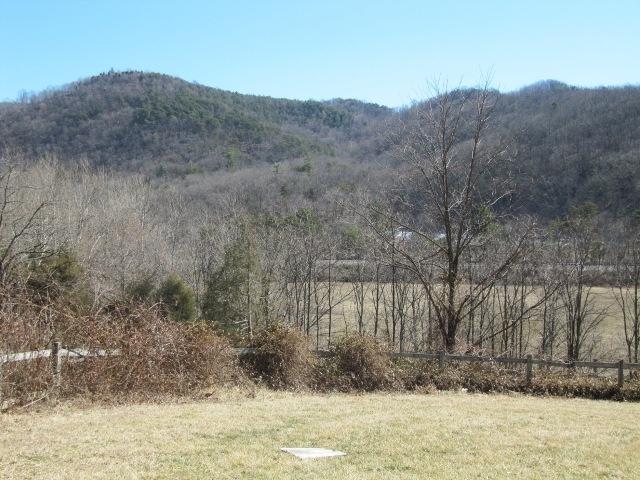 2059 Burkette Road Elliston, VA 24087 - Photo 17 of 18 a view of a backyard of the house