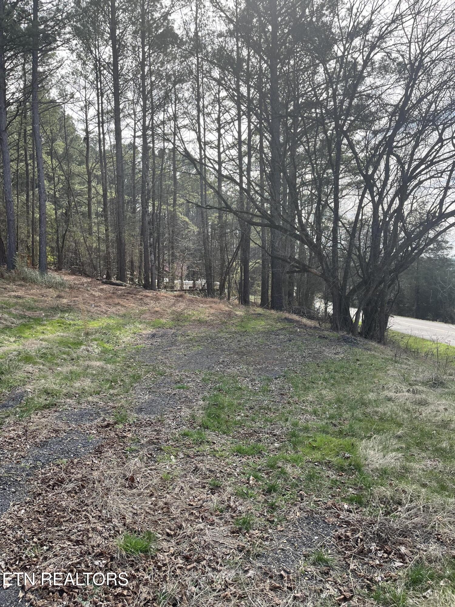 0 Cr 67 Road Riceville, TN 37370 - Photo 31 of 50 Gallery Image 31