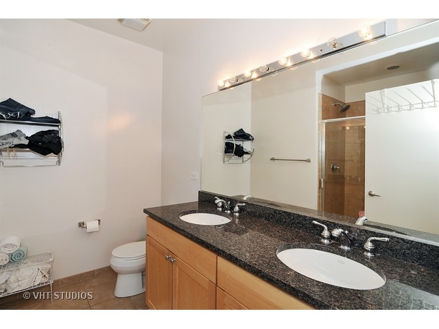 700 North Larrabee Street, Unit 1013 Chicago, IL 60654 - Photo 7 of 10