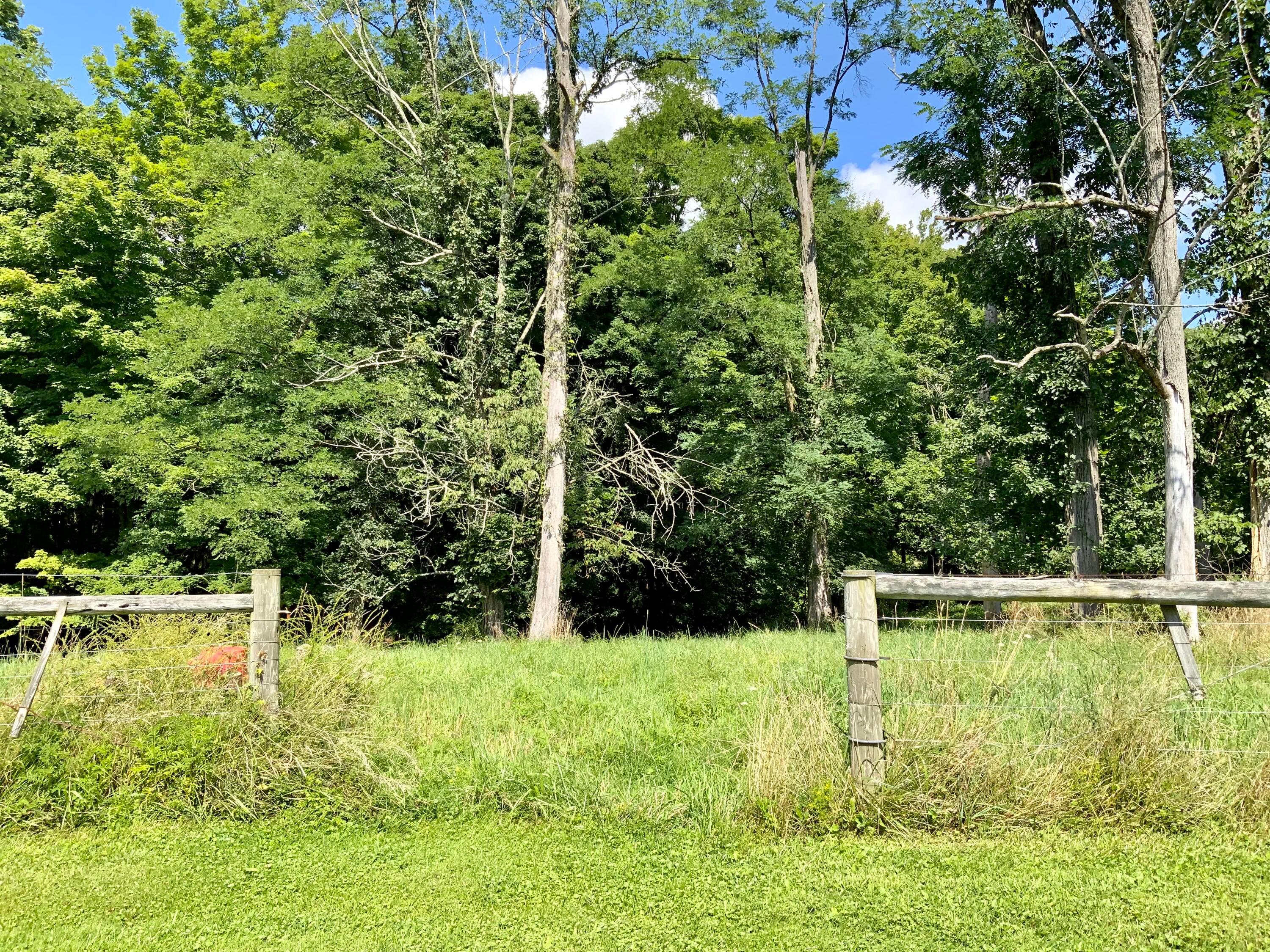 8501 Ransom Road Mount Vernon, OH 43050 - Photo 78 of 82 0CF18142-2749-4894-ABF8-7F941BC42298
