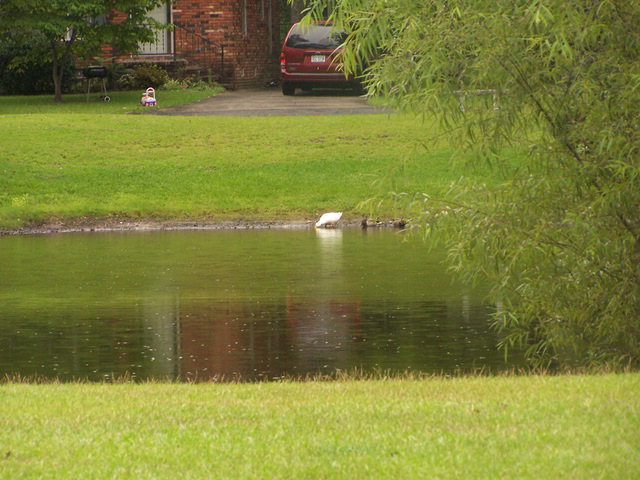6000 River Road, Unit 4 Washington, NC 27889 - Photo 5 of 6 Additional Photo