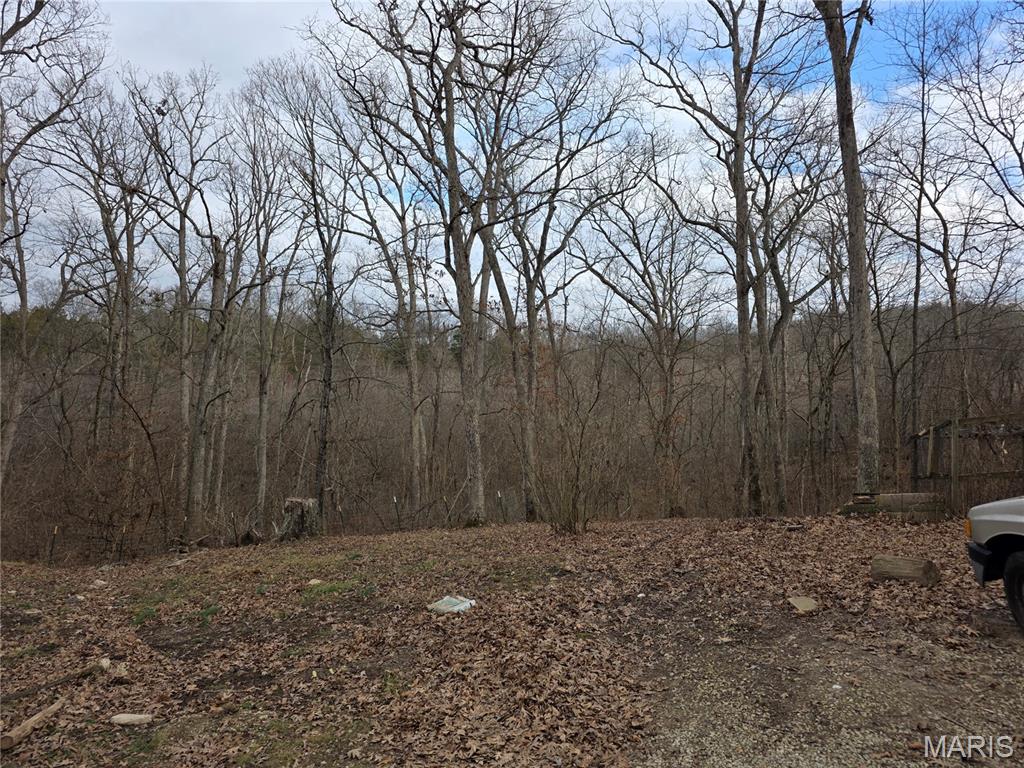 1695 Wade Road Pacific, MO 63069 - Photo 1 of 10