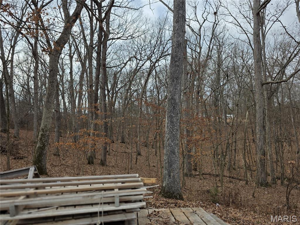 1695 Wade Road Pacific, MO 63069 - Photo 5 of 10