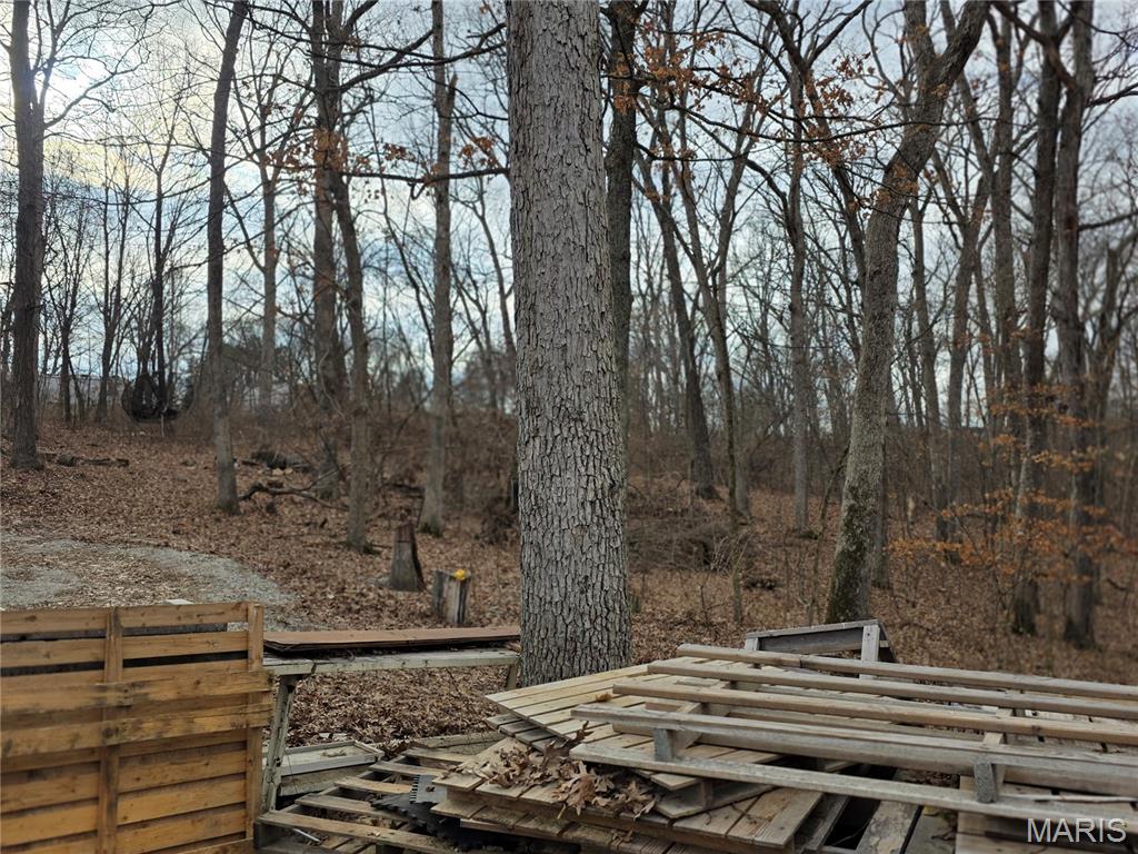 1695 Wade Road Pacific, MO 63069 - Photo 6 of 10