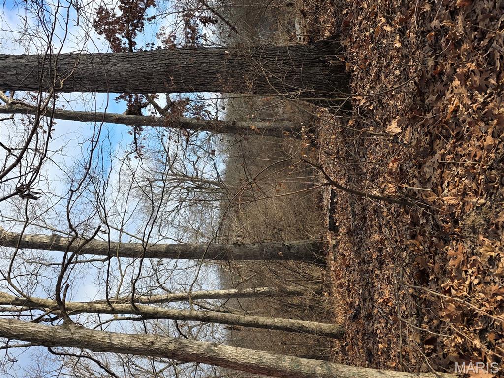 1695 Wade Road Pacific, MO 63069 - Photo 7 of 10