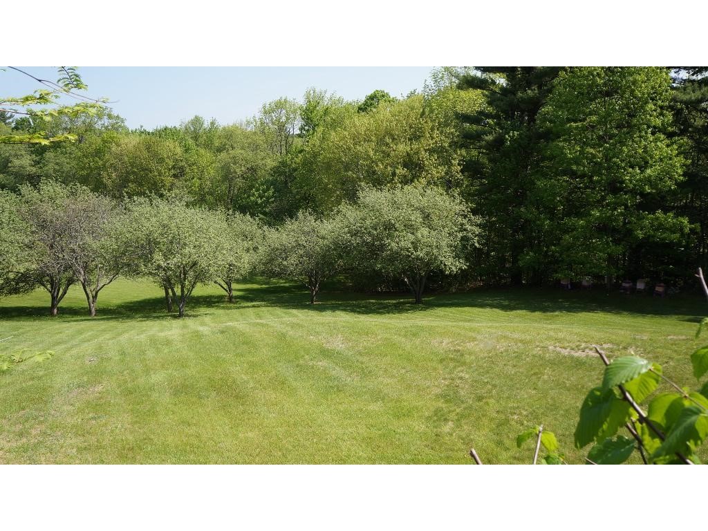 64 Briar Hill Road New Boston, NH 03070 - Photo 4 of 36