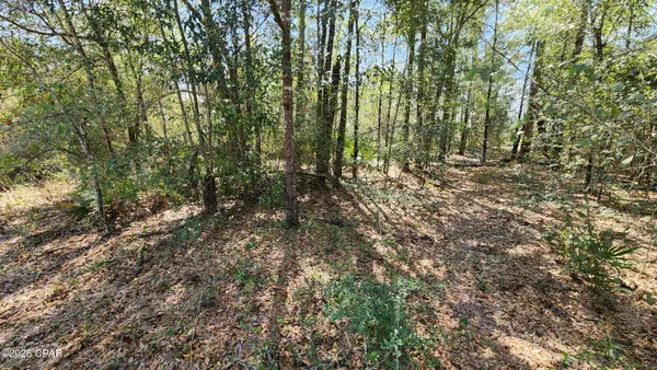 $8,000 | 0 Edgewood Road, Fountain, FL 32438