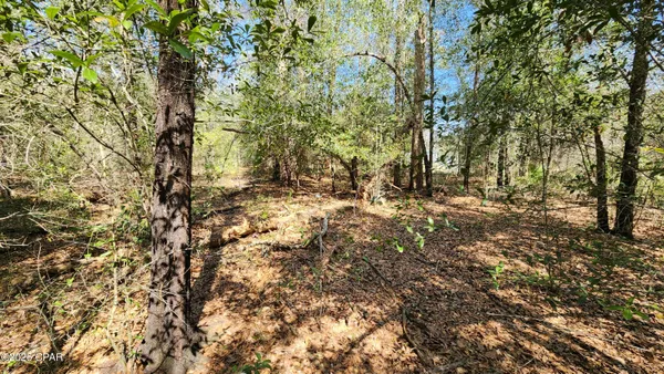 $8,000 | 0 Edgewood Road, Fountain, FL 32438