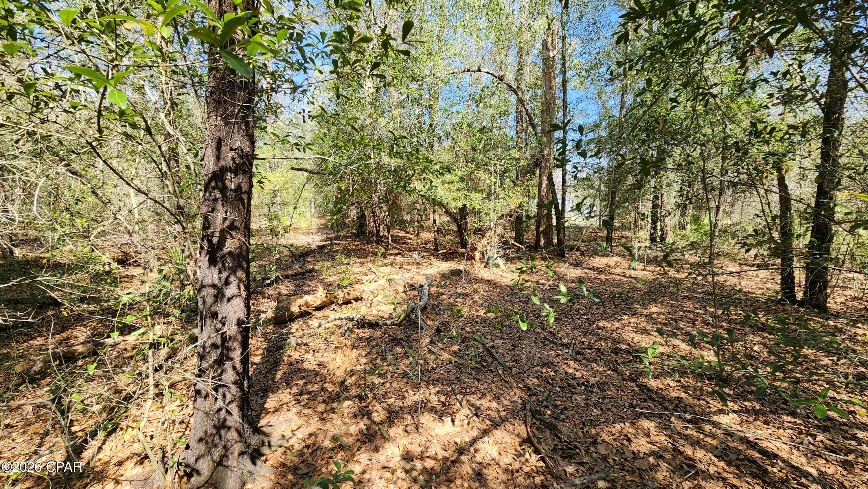 0 Edgewood Road Fountain, FL 32438 - Photo 4 of 10