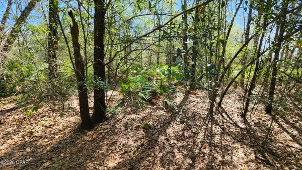 $8,000 | 0 Edgewood Road, Fountain, FL 32438