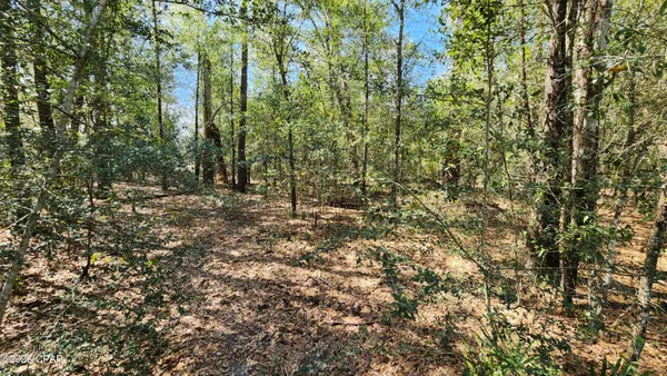 $8,000 | 0 Edgewood Road, Fountain, FL 32438