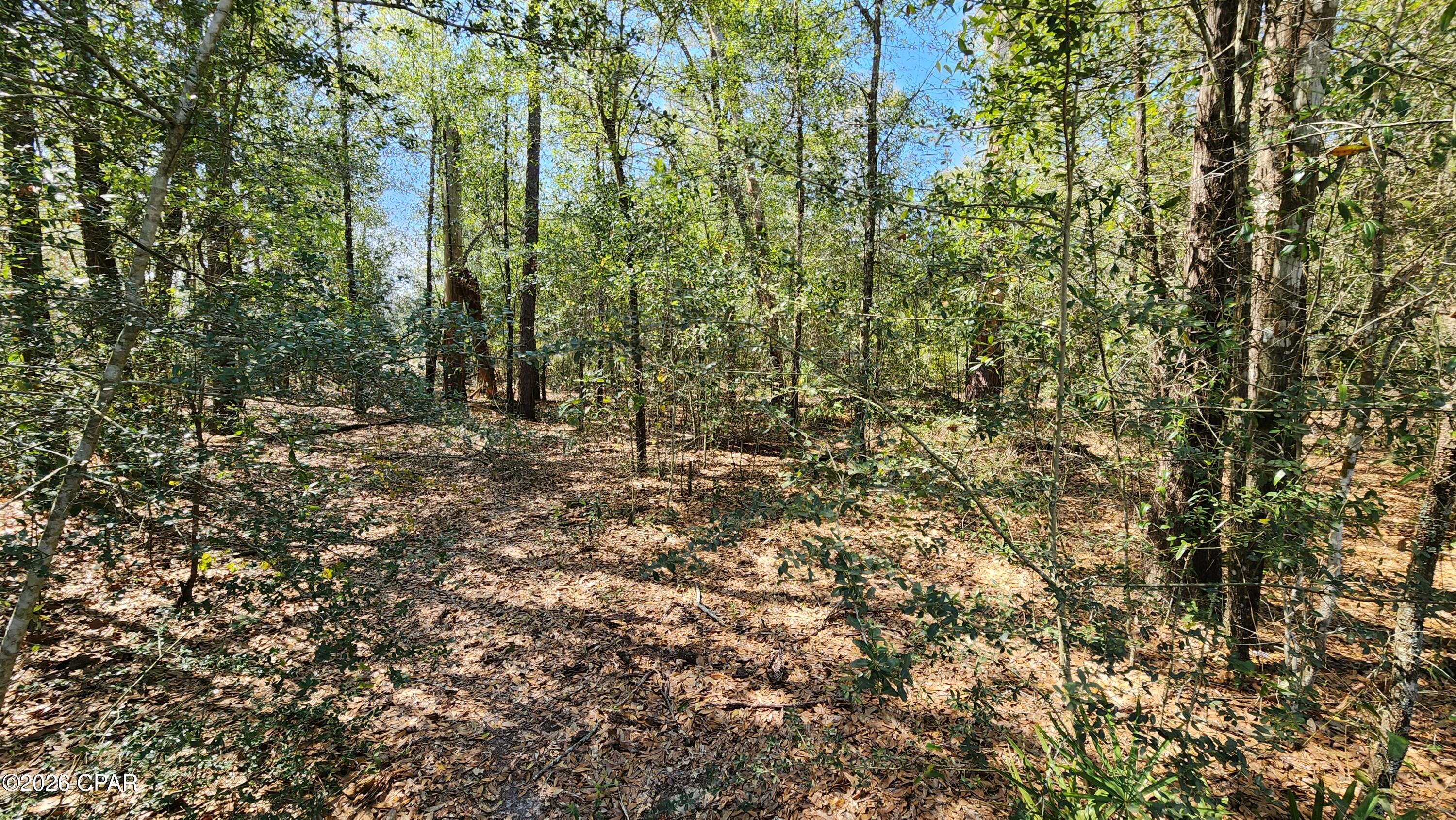 0 Edgewood Road Fountain, FL 32438 - Photo 6 of 10