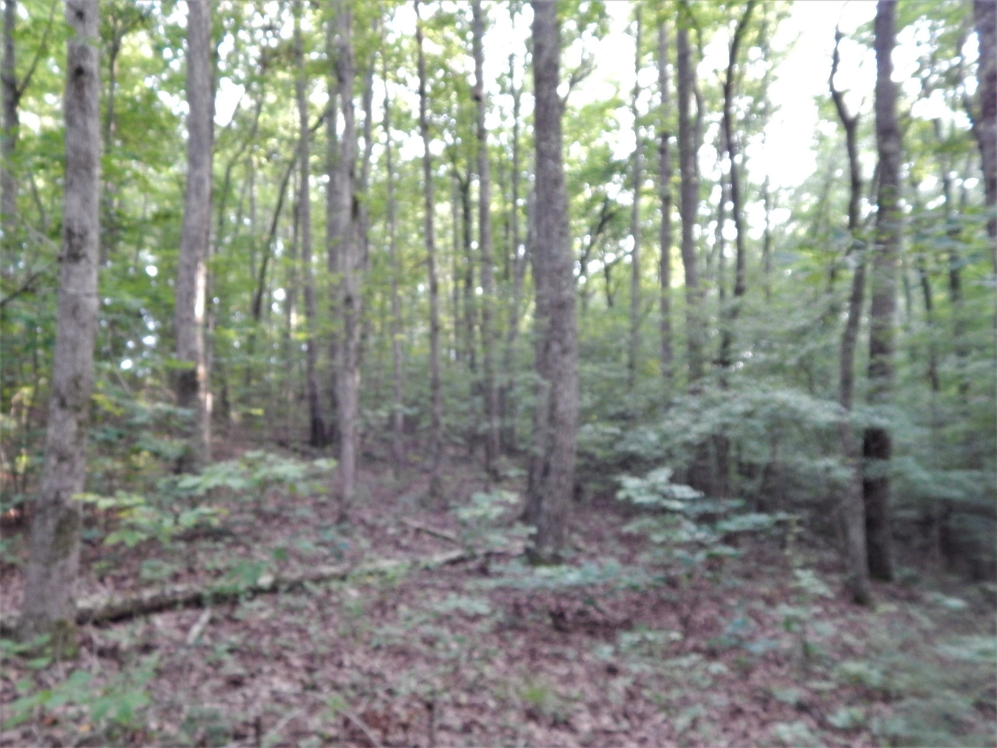 1722 Natural Bridge Road Waynesboro, TN 38485 - Photo 38 of 38 Gallery Image 38